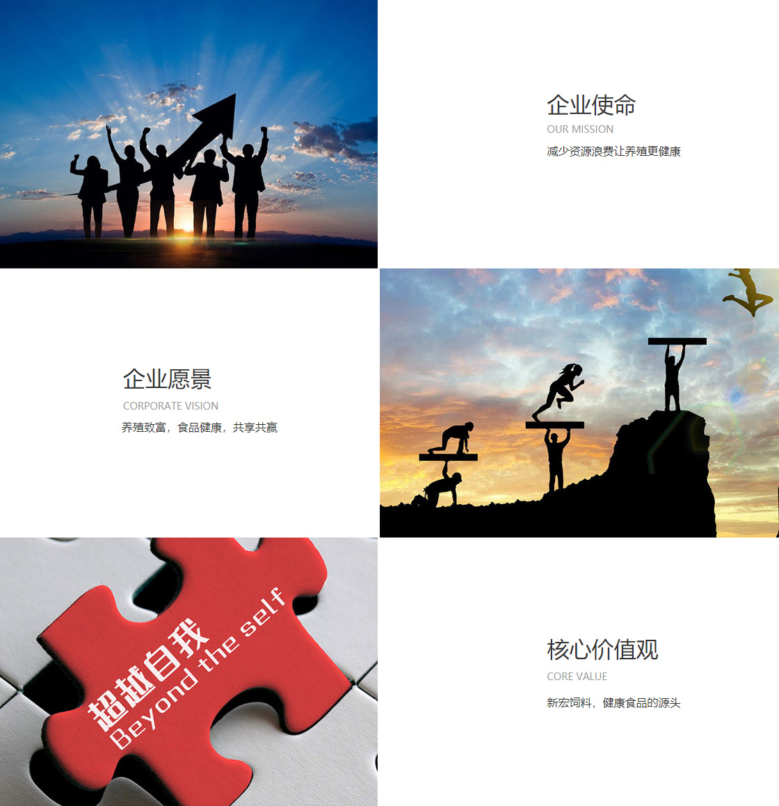 十大买球官方网站(图1)